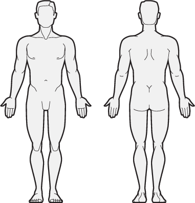 body-chart